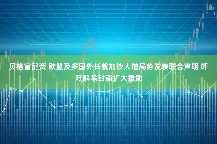 贝格富配资 欧盟及多国外长就加沙人道局势发表联合声明 呼吁解除封锁扩大援助