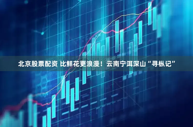北京股票配资 比鲜花更浪漫！云南宁洱深山“寻枞记”