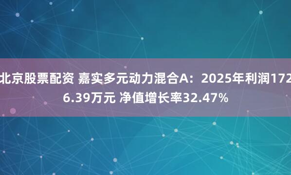 北京股票配资 嘉实多元动力混合A：2025年利润1726.39万元 净值增长率32.47%